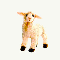 toy soft lamb