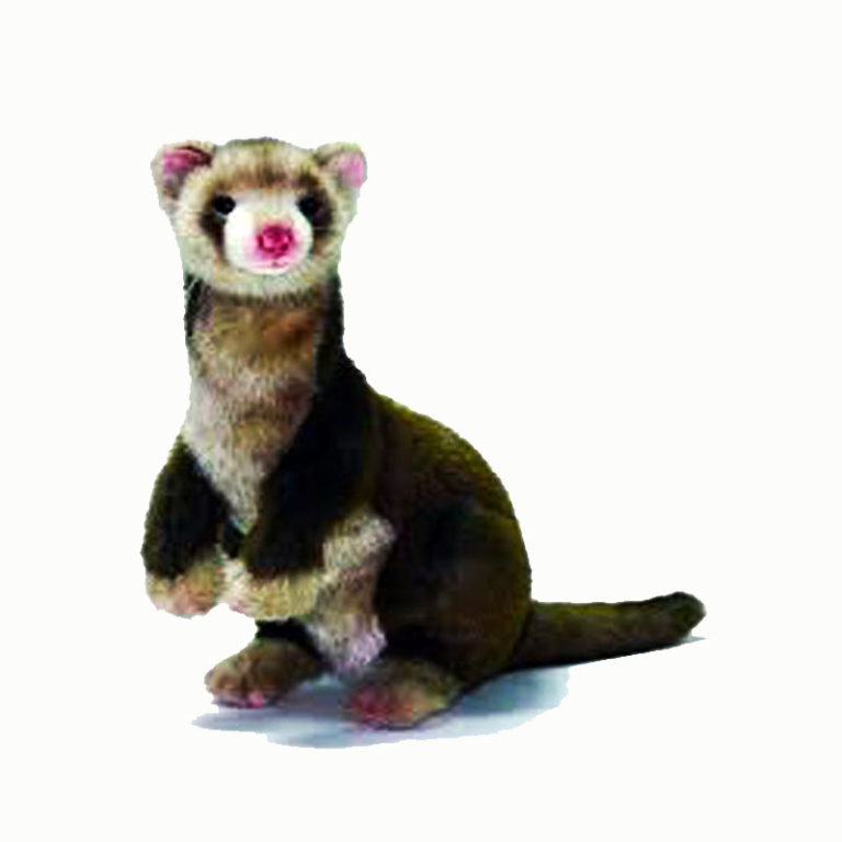 toy ferret stuffed animal