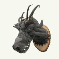 Mounted Dragon Head