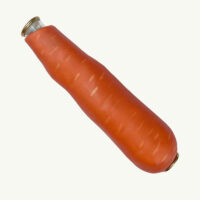 Carrot Kaleidoscope by Scott Cole